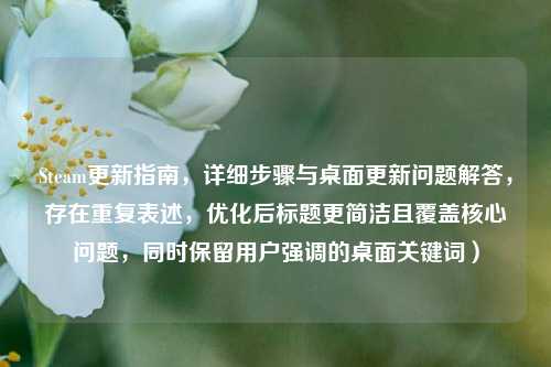 Steam更新指南,详细步骤与桌面更新问题解答,存在重复表述,优化后标题更简洁且覆盖核心问题,同时保留用户强调的桌面关键词)