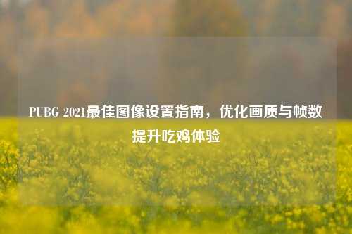 PUBG 2021最佳图像设置指南,优化画质与帧数提升吃鸡体验