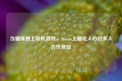 当猫咪遇上联机游戏,Steam上萌化人心的多人合作体验