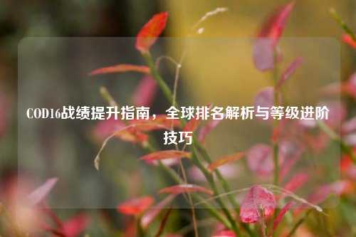 COD16战绩提升指南,全球排名解析与等级进阶技巧
