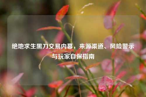 绝地求生黑刀交易内幕,来源渠道、风险警示与玩家自保指南