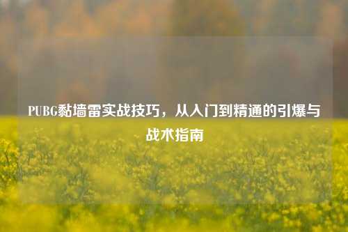 PUBG黏墙雷实战技巧,从入门到精通的引爆与战术指南