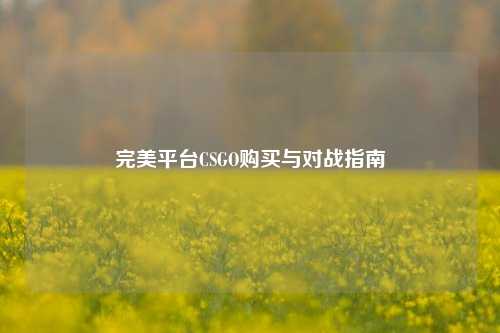 完美平台CSGO购买与对战指南