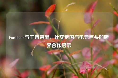 Facebook与王者荣耀,社交帝国与电竞巨头的跨界合作启示