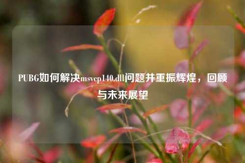 PUBG如何解决msvcp140.dll问题并重振辉煌,回顾与未来展望