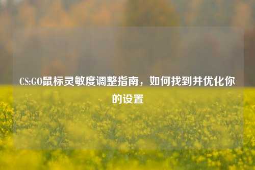 CS:GO鼠标灵敏度调整指南,如何找到并优化你的设置