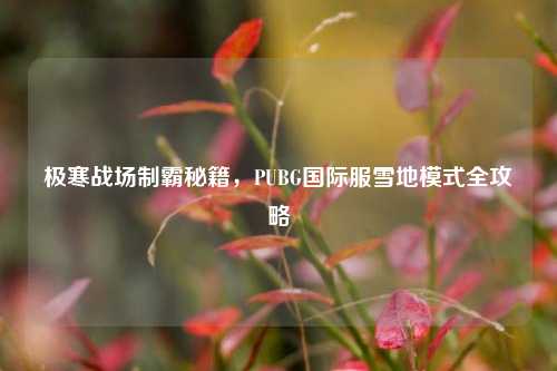 极寒战场制霸秘籍,PUBG国际服雪地模式全攻略