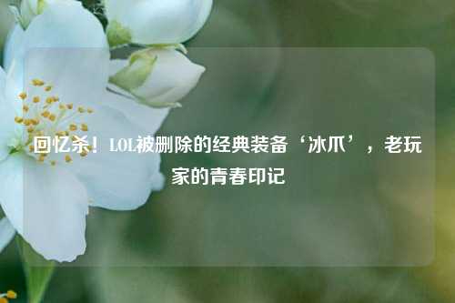 回忆杀!LOL被删除的经典装备‘冰爪’,老玩家的青春印记