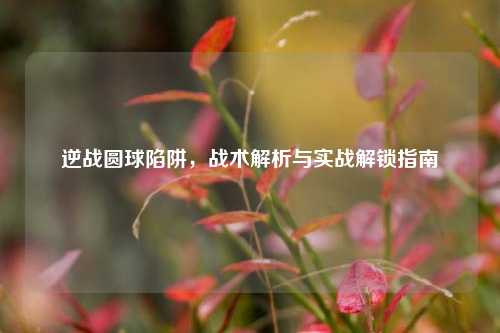 逆战圆球陷阱,战术解析与实战解锁指南