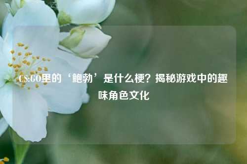 CS:GO里的‘鲍勃’是什么梗?揭秘游戏中的趣味角色文化