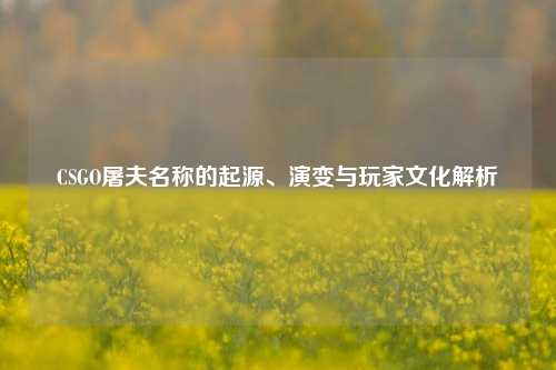 CSGO屠夫名称的起源、演变与玩家文化解析