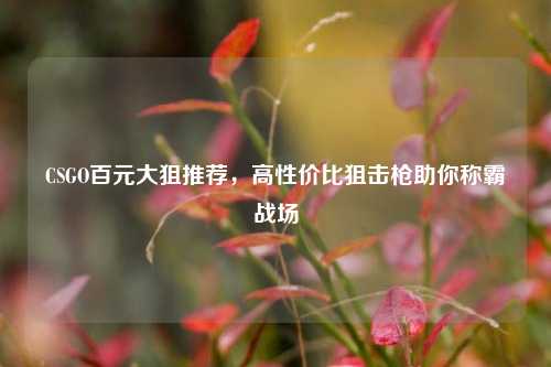 CSGO百元大狙推荐,高性价比狙击枪助你称霸战场