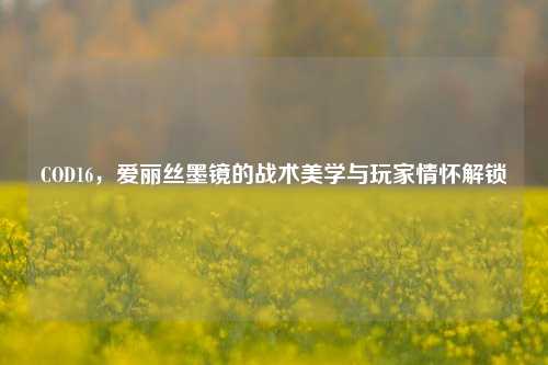 COD16,爱丽丝墨镜的战术美学与玩家情怀解锁