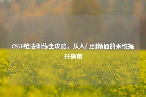 CSGO枪法训练全攻略,从入门到精通的系统提升指南