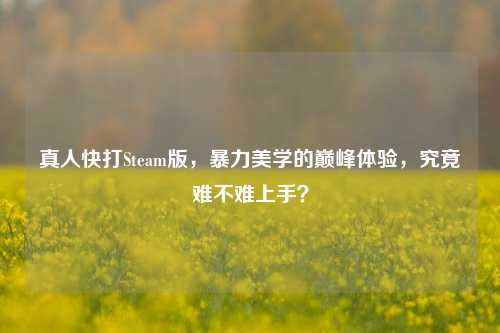 真人快打Steam版,暴力美学的巅峰体验,究竟难不难上手?