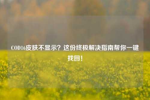 COD16皮肤不显示?这份终极解决指南帮你一键找回!
