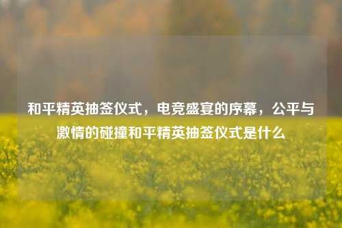 和平精英抽签仪式,电竞盛宴的序幕,公平与激情的碰撞和平精英抽签仪式是什么