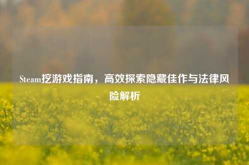Steam挖游戏指南,高效探索隐藏佳作与法律风险解析