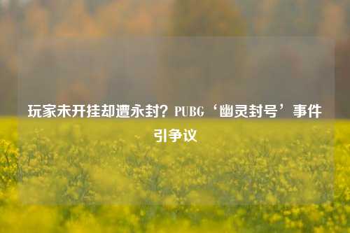 玩家未开挂却遭永封?PUBG‘幽灵封号’事件引争议