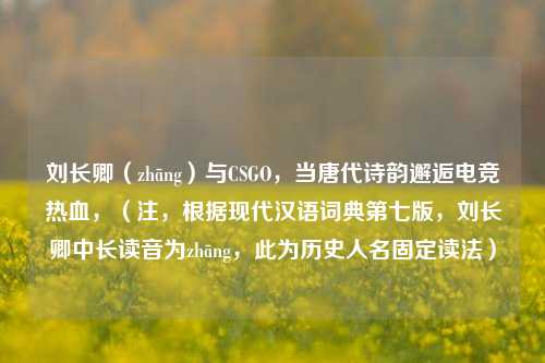 刘长卿(zhāng)与CSGO,当唐代诗韵邂逅电竞热血,(注,根据现代汉语词典第七版,刘长卿中长读音为zhāng,此为历史人名固定读法)