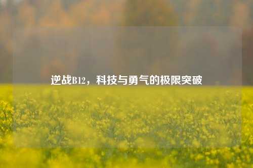 逆战B12,科技与勇气的极限突破