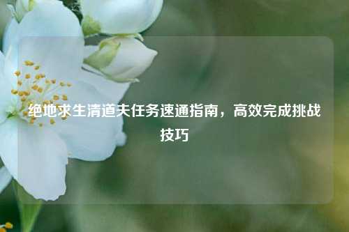 绝地求生清道夫任务速通指南,高效完成挑战技巧