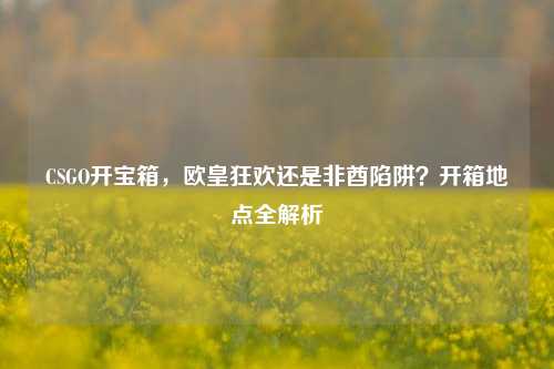 CSGO开宝箱,欧皇狂欢还是非酋陷阱?开箱地点全解析