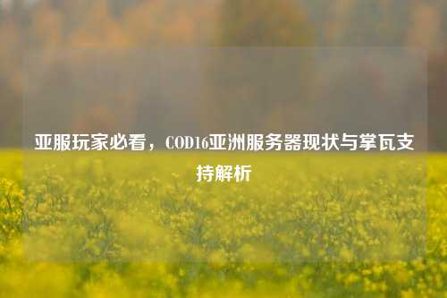亚服玩家必看,COD16亚洲服务器现状与掌瓦支持解析