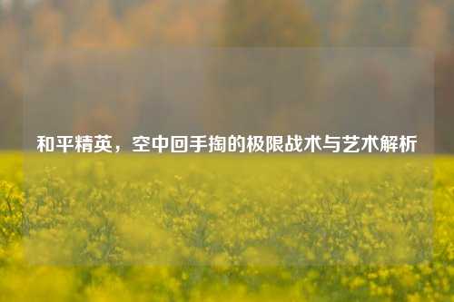 和平精英,空中回手掏的极限战术与艺术解析