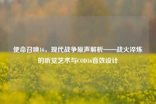 使命召唤16,现代战争原声解析——战火淬炼的听觉艺术与COD16音效设计