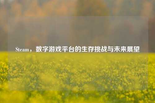 Steam,数字游戏平台的生存挑战与未来展望