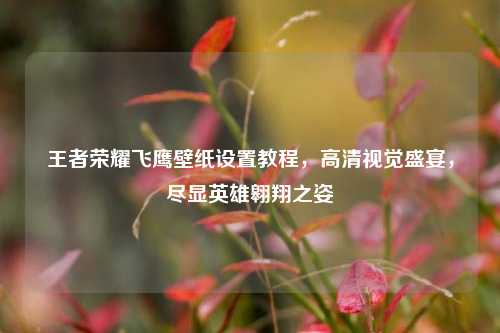 王者荣耀飞鹰壁纸设置教程,高清视觉盛宴,尽显英雄翱翔之姿