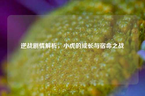 逆战剧情解析,小虎的成长与宿命之战