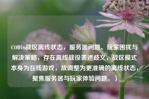 COD16战区离线状态,服务器问题、玩家困扰与解决策略,存在离线战役表述歧义,战区模式本身为在线游戏,故调整为更准确的离线状态,聚焦服务器与玩家体验问题。)