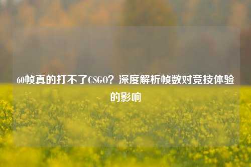 60帧真的打不了CSGO?深度解析帧数对竞技体验的影响