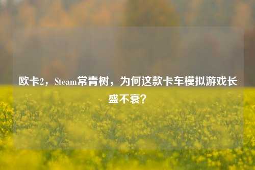 欧卡2,Steam常青树,为何这款卡车模拟游戏长盛不衰?