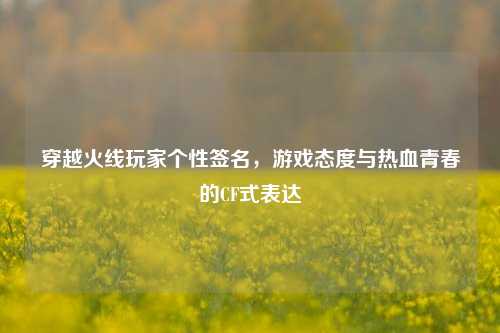 穿越火线玩家个性签名,游戏态度与热血青春的CF式表达