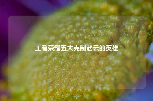 王者荣耀五大克制赵云的英雄
