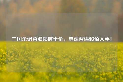 三国杀诸葛瞻限时半价,忠魂智谋超值入手!