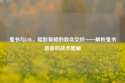 鬼书与LOL,暗影策略的致命交织——解析鬼书装备的战术奥秘