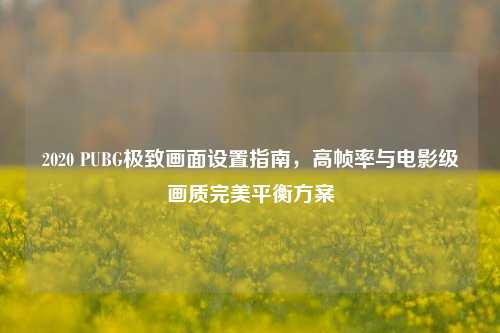 2020 PUBG极致画面设置指南,高帧率与电影级画质完美平衡方案