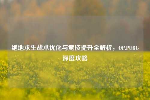绝地求生战术优化与竞技提升全解析,OP.PUBG深度攻略