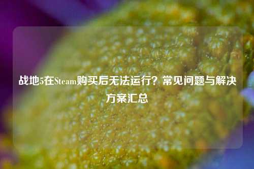 战地5在Steam购买后无法运行?常见问题与解决方案汇总