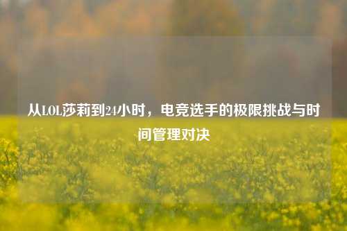 从LOL莎莉到24小时,电竞选手的极限挑战与时间管理对决
