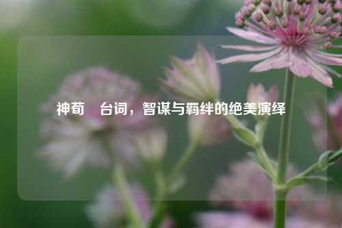 神荀彧台词,智谋与羁绊的绝美演绎