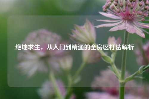 绝地求生,从入门到精通的全房区打法解析