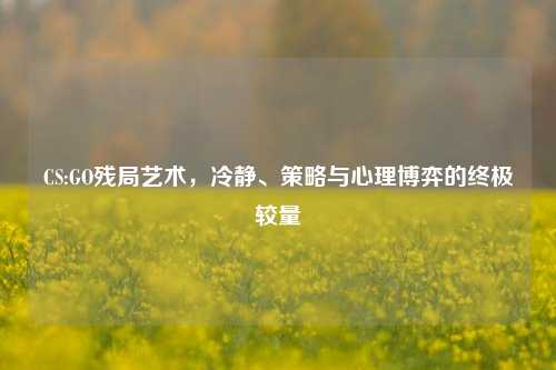 CS:GO残局艺术,冷静、策略与心理博弈的终极较量