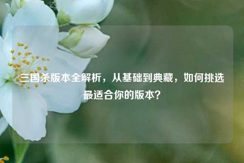三国杀版本全解析,从基础到典藏,如何挑选最适合你的版本?