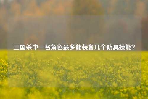 三国杀中一名角色最多能装备几个防具技能?