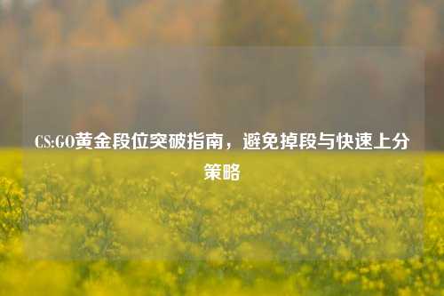 CS:GO黄金段位突破指南,避免掉段与快速上分策略